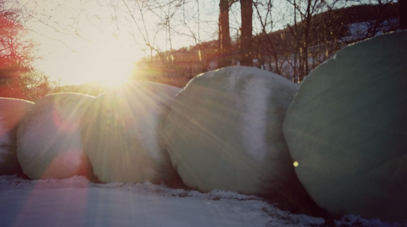 Foto2.png (974551 Byte)