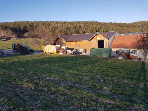 Foto1.jpg (122509 Byte)