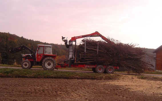Foto2.JPG (64329 Byte)