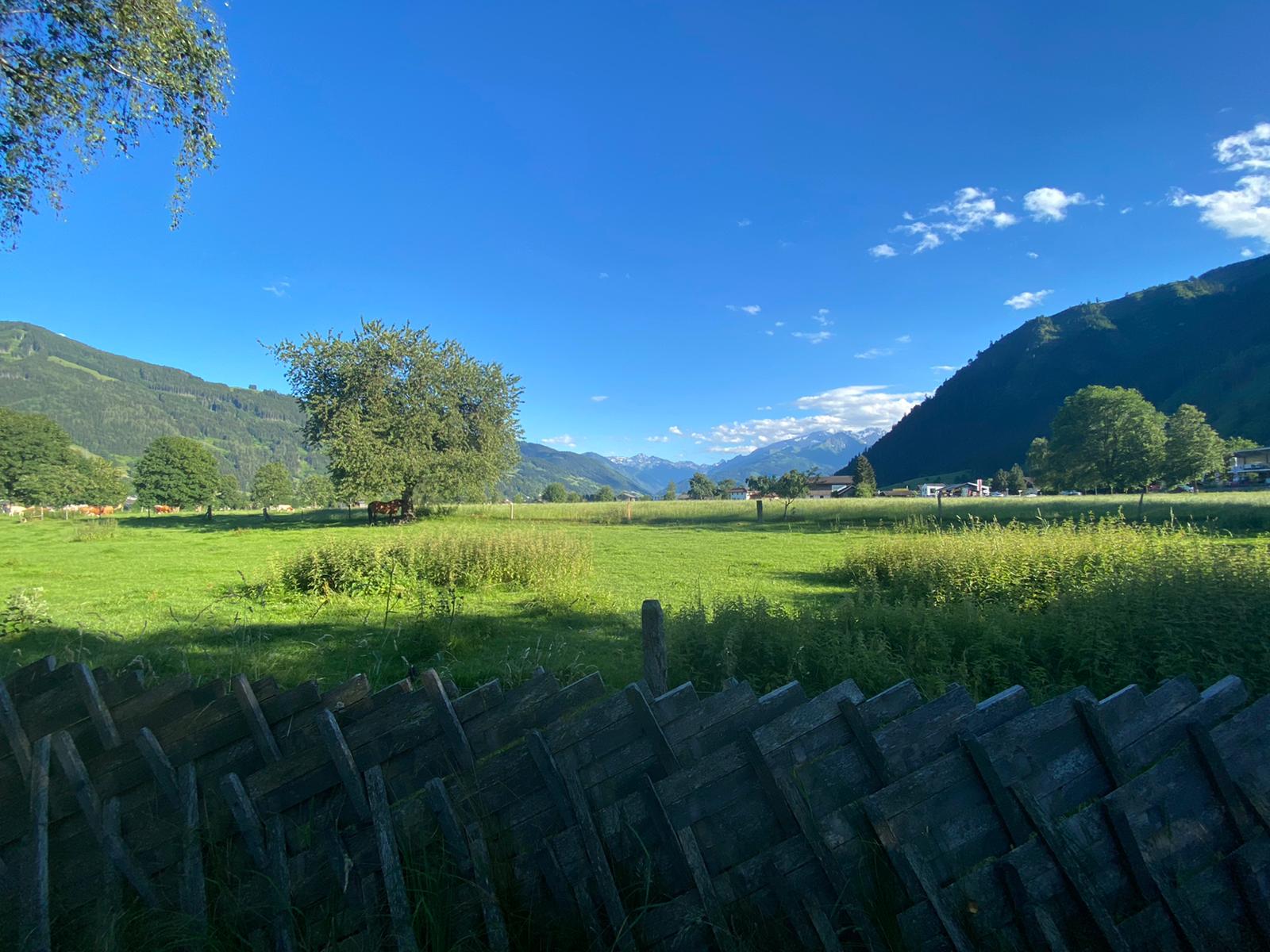 Landschaft2.jpg (232348 Byte)