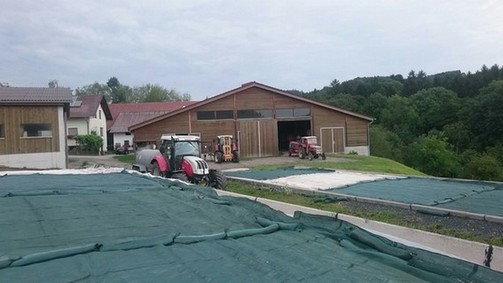 Foto3.jpg (37548 Byte)