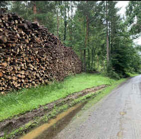 neu 2.JPG (42462 Byte)