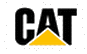 CAT.gif (1657 Byte)