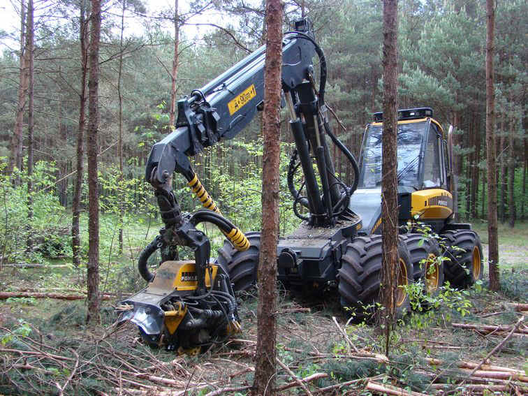 Foto1.jpg (179821 Byte)