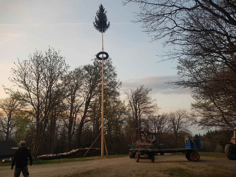 Maibaum.jpg (5764639 Byte)