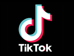 tiktok.gif (6413 Byte)